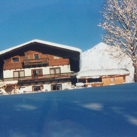 Appartement Haus Elsa à Ramsau am Dachstein Extérieur photo